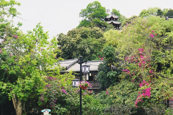 甘坑客家小镇旅游攻略 甘坑客家小镇门票价格-开放时间-交通-天气
