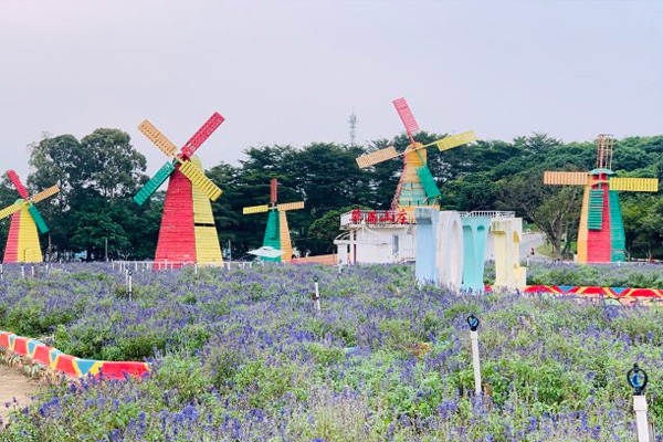 梦幻百花洲旅游攻略 梦幻百花洲门票多少钱-开放时间-交通-天气