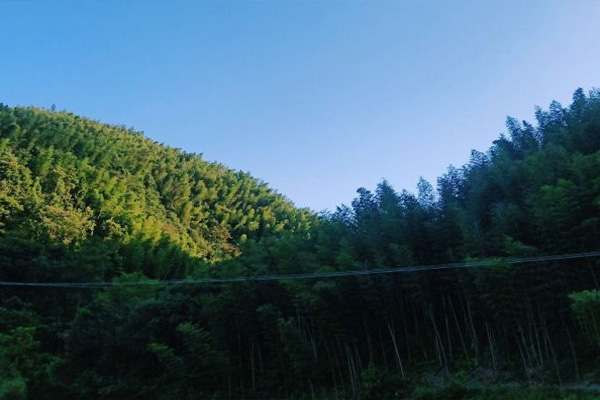蔡伦竹海旅游攻略 蔡伦竹海风景区介绍-开放时间-门票价格-交通-天气