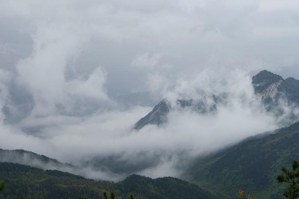 大别山森林公园旅游攻略大别山森林公园地址-门票-交通-参观指南