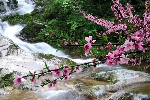 桃花冲森林公园旅游攻略 桃花冲森林公园地址-门票-交通-参观指南