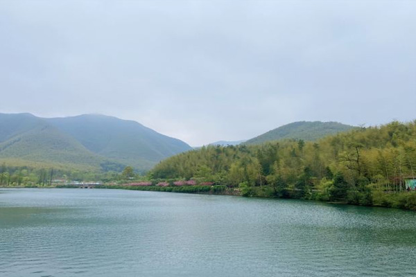 宜兴竹海旅游攻略 宜兴竹海风景区介绍-开放时间-门票价格-交通-天气