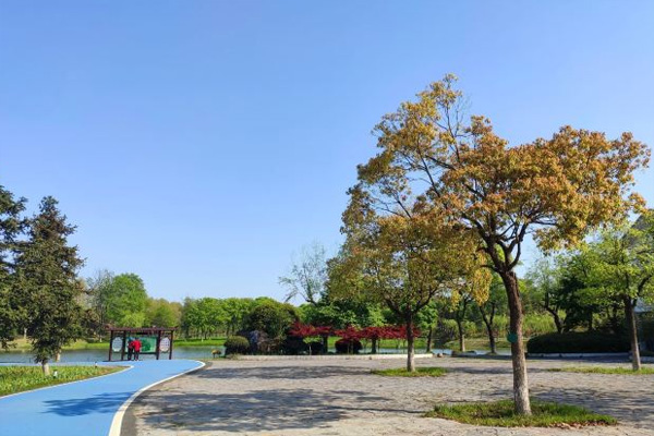龙背山森林公园旅游攻略 龙背山森林公园简介-开放时间-门票价格-交通-天气