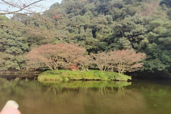 九溪烟树旅游攻略 九溪烟树简介-门票价格-开放时间-交通-天气