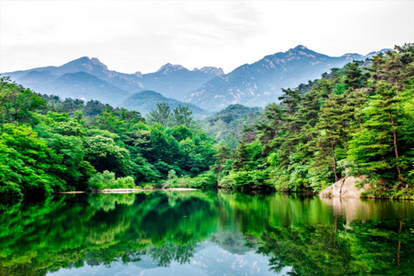 古田山自然保护区旅游攻略 古田山国家自然保护区门票-开放时间-简介-交通-天气