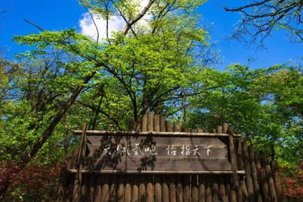 恩施坪坝营一日游攻略 附景点推荐