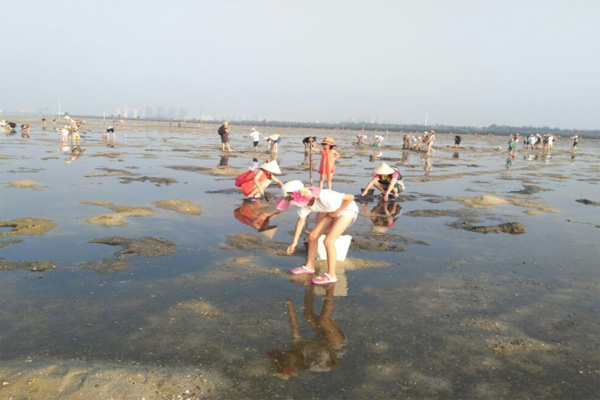 2021北戴河赶海最佳时间 北戴河赶海最好的地方