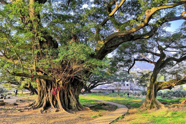 杨家溪风景区旅游攻略 杨家溪风景区门票-开放时间-简介-交通-地址-天气