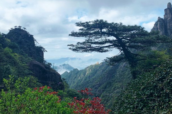 三清山风景区旅游攻略 三清山风景区门票价格-开放时间-简介-交通-地址-天气