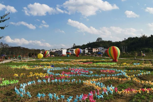 黄姚花海旅游攻略 黄姚花海门票-开放时间-介绍-交通-地址-天气