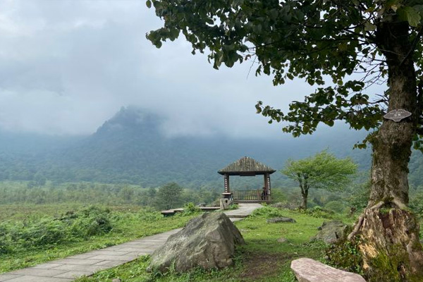 黑竹沟旅游攻略 黑竹沟风景区门票-开放时间-介绍-交通-地址-天气