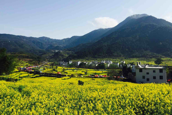 江岭景区门票多少钱 旅游攻略自由行