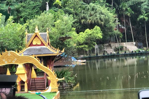 西双版纳原始森林公园旅游攻略 西双版纳原始森林公园介绍-门票价格-开放时间-交通-地址-天气